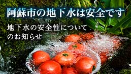 阿蘇の地下水 水質調査結果