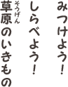 みつけよう！しらべよう！草原のいきもの