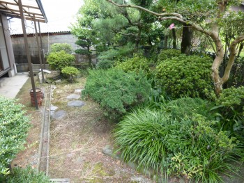 庭