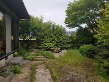 庭