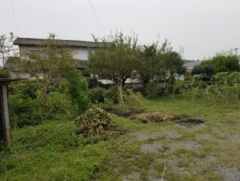 20170919_110021