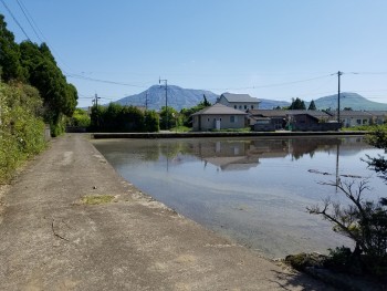 田