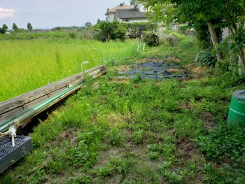 家庭菜園