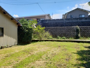 庭