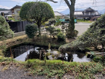 庭