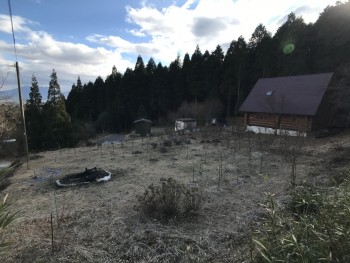 庭