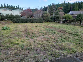 家庭菜園もできます