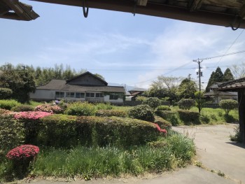 庭　敷地