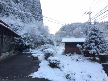 雪も降ります！