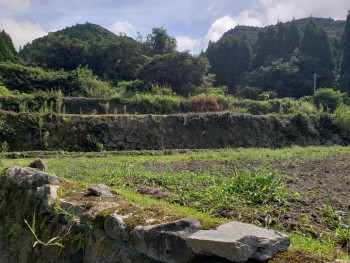 賃貸条件：畑周辺除草