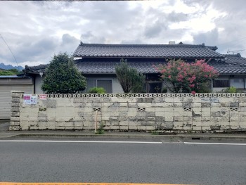 全景