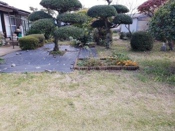 庭