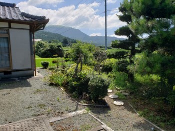 庭