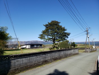 土地周辺