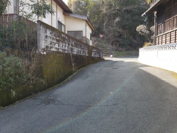 周辺道路