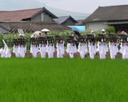 おんだ祭り（御田植神幸式）