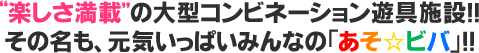 楽しさ満載の大型コンビネーション遊具施設！！その名も、元気いっぱいみんなの「あそ☆ビバ」！！