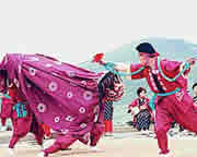 県指定重要無形民俗文化財　阿蘇の虎舞