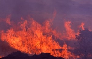 野焼きの炎の画像