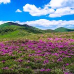 第3回フォトコンテストグランプリ写真