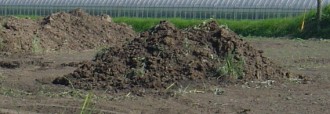畑に野積みの堆肥