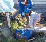 ホタルの幼虫を放流する園児