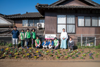 阿蘇神社の駐車場横の花壇を整備