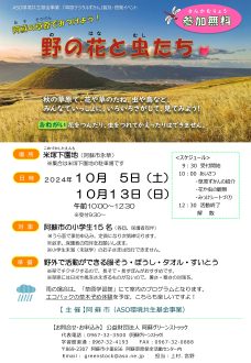 野の花と虫たちチラシ