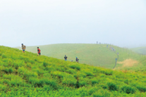 ASO VOLCANO TRAIL1